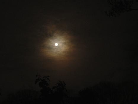 Lunar Eclipse 02-20-2008 007.jpg